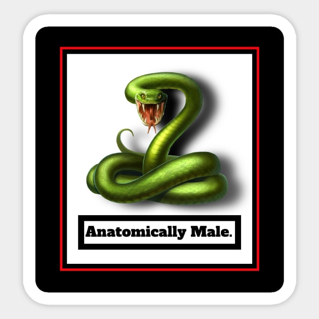 GENDER IDENTITY? ANATOMICALLY MALE Sticker by PETER J. KETCHUM ART SHOP